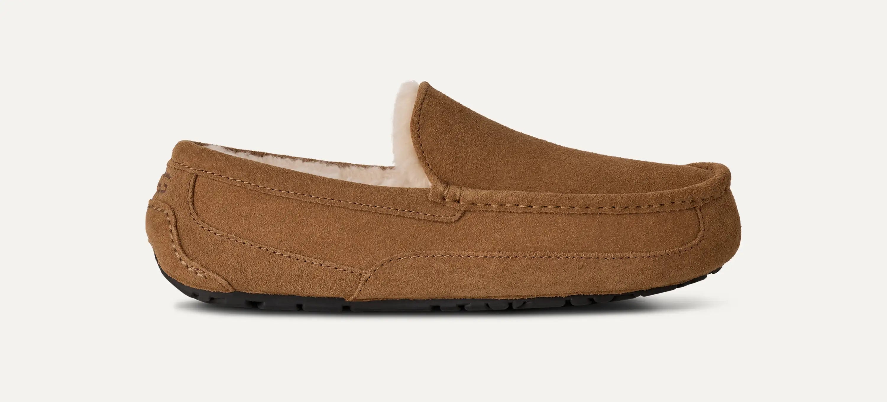 Men's Ascot Slipper