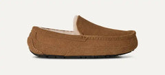 Men's Ascot Slipper