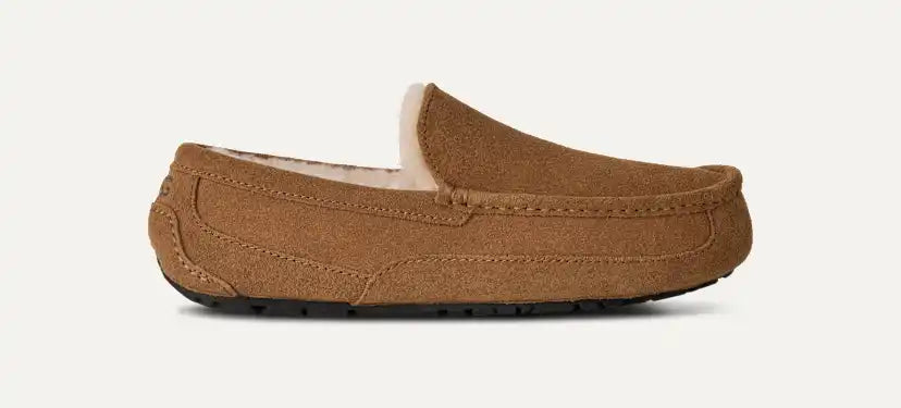 Men's Ascot Slipper